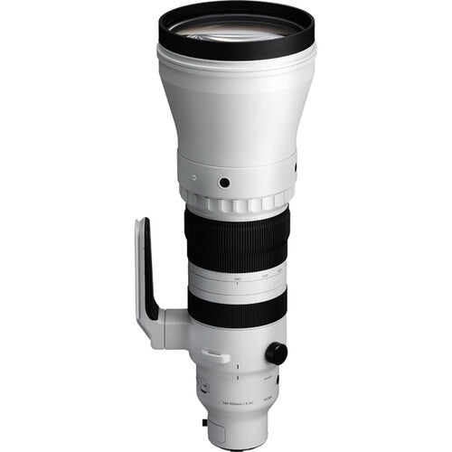 Sigma 300-600mm F4 DG OS | Sports Lens (L Mount)